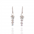 Crystel Flower With Dangled Zircons Earrings